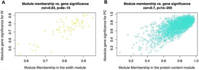 Molecular Pathways and Key Genes Associated With Breast Width and Protein Content in White Striping and Wooden Breast Chicken Pectoral Muscle